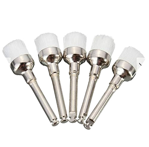 Polishing Brushes
